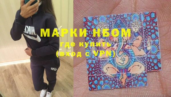 молекула духа Надым