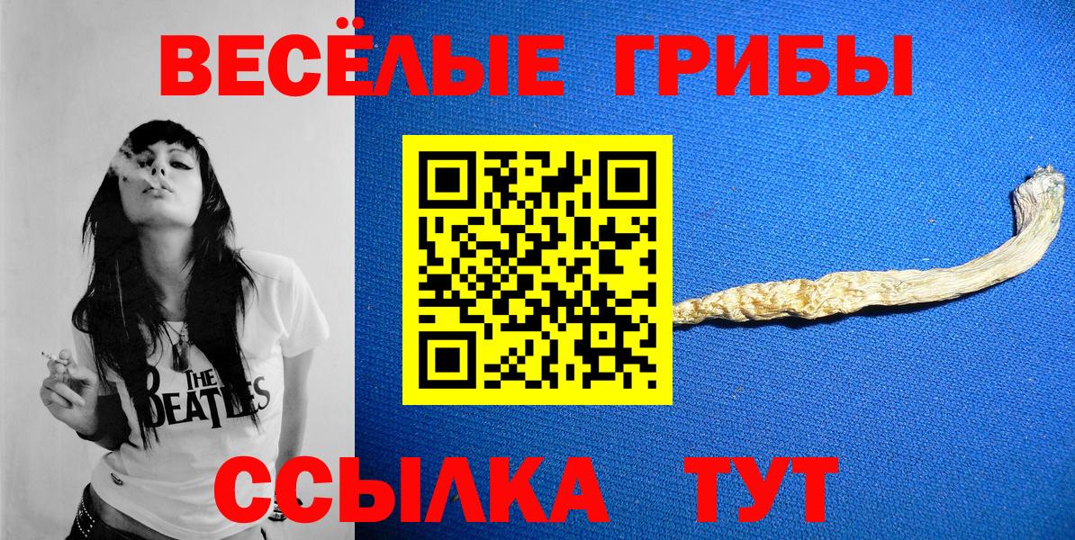 Галлюциногенные грибы Psilocybe Ульяновск